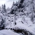 Nature Retreat